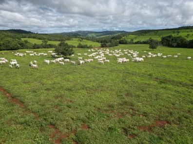 Fazenda/Sítio com 5 Quartos à venda, 250m² no , Itapaci
