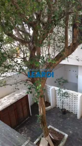 Ponto Comercial com 6 Quartos à venda, 300m² no Indianópolis, São Paulo