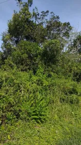 Lote/Terreno à venda, 250m² no Cibratel II, Itanhaém