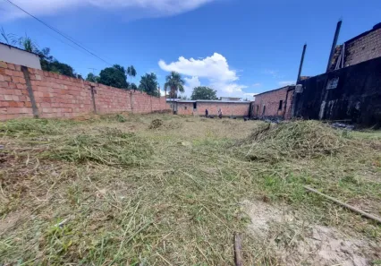 Lote/Terreno à venda, 440m² no Novo Aleixo, Manaus