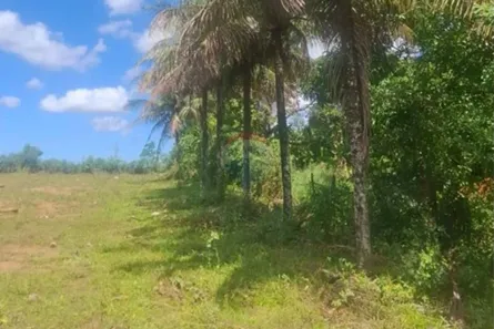 Fazenda/Sítio com 1 Quarto à venda, 2750m² no Alzira Ramos, Cariacica