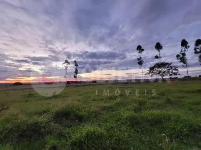 Fazenda/Sítio com 4 Quartos à venda, 75000m² no Chácaras Eldorado, Uberlândia