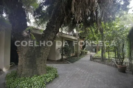 Casa com 5 Quartos à venda, 200m² no Vila Madalena, São Paulo