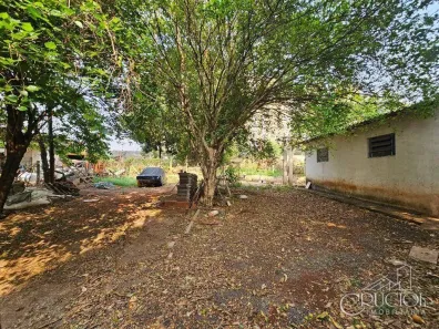 Fazenda/Sítio para alugar, 300m² no Cláudia, Londrina