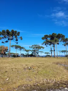 Lote/Terreno à venda, 20000m² no , Urubici