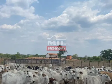 Fazenda/Sítio à venda, 500m² no , Paranã