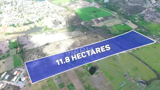 Fazenda/Sítio à venda, 118000m² no Ebenezer, Gravatá