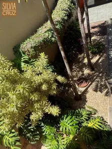 Sala Comercial com 1 Quarto à venda, 235m² no Jardim Europa, Piracicaba