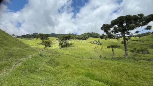 Lote/Terreno à venda, 60000m² no , Rancho Queimado