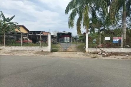 Lote/Terreno à venda, 1250m² no Jardim das Palmeiras, Registro