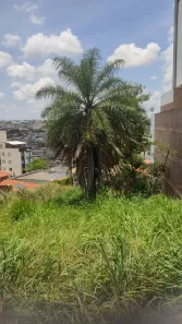 Lote/Terreno para alugar, 753m² no Cabral, Contagem