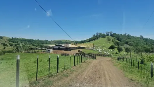Fazenda/Sítio com 1 Quarto à venda, 1m² no , Santa Amélia
