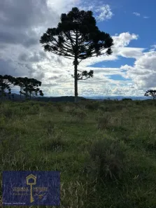 Lote/Terreno à venda, 20000m² no , São Joaquim