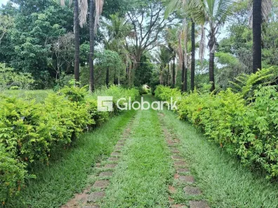 Fazenda/Sítio com 4 Quartos à venda, 1000m² no Área Rural de Montes Claros, Montes Claros