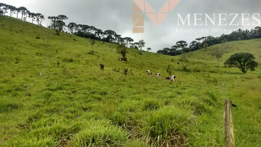 Fazenda/Sítio com 1 Quarto à venda, 3140000m² no centro, Serranos