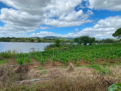 Fazenda/Sítio com 5 Quartos à venda, 2500000m² no , Brejo da Madre de Deus