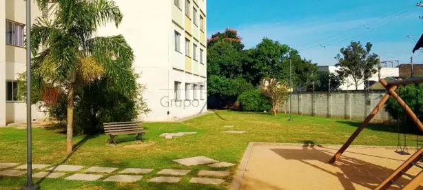 Apartamento com 2 Quartos para alugar, 49m² no Jardim Bela Vista, São José dos Campos