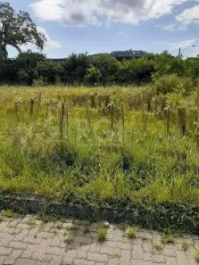 Lote/Terreno à venda, 125m² no Aberta dos Morros, Porto Alegre