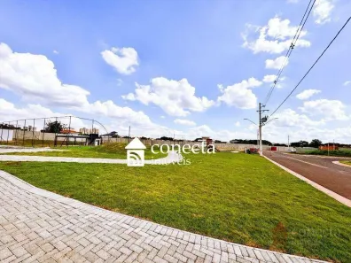 Lote/Terreno à venda, 250m² no Jardim Fortaleza, Paulínia