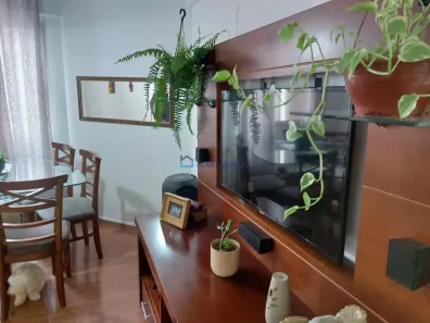 Apartamento com 3 Quartos à venda, 63m² no Vila Vermelha, São Paulo