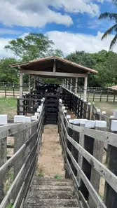 Fazenda/Sítio com 6 Quartos à venda, 4980000m² no , Macaíba