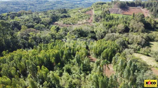 Fazenda/Sítio com 1 Quarto à venda, 5000m² no , Nova Petrópolis