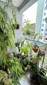 Apartamento com 3 Quartos à venda, 80m² no Ouro Preto, Belo Horizonte
