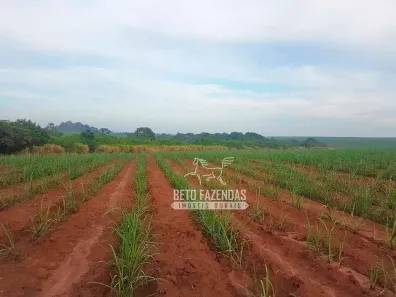Fazenda/Sítio à venda, 62920000m² no Centro, Piracicaba