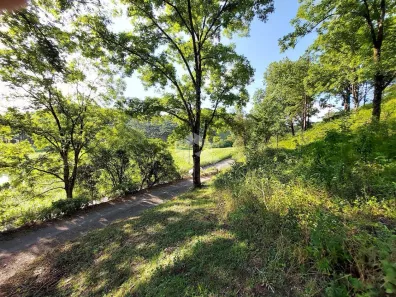 Fazenda/Sítio com 1 Quarto à venda, 23000m² no , Garibaldi
