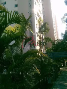 Apartamento com 3 Quartos para alugar, 56m² no Jardim Boa Vista (Zona Oeste), São Paulo