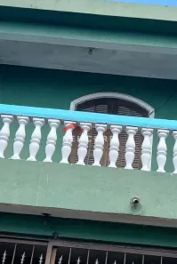 Casa de Condomínio com 4 Quartos à venda, 220m² no Jardim Analândia, Itapecerica da Serra