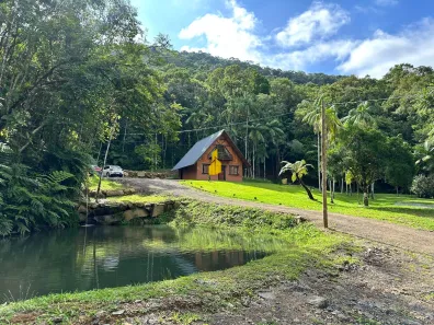 Fazenda/Sítio com 2 Quartos à venda, 66789m² no Capivari, Doutor Pedrinho
