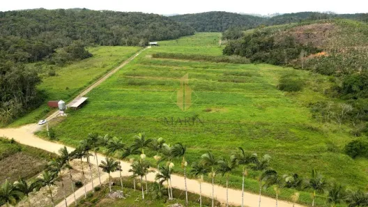 Fazenda/Sítio à venda, 660000m² no Rio Novo, Luiz Alves