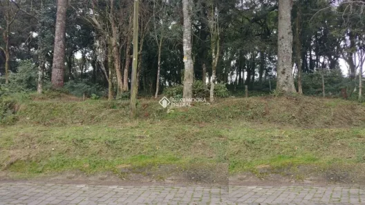 Lote/Terreno à venda, 600m² no Bela Vista, Caxias do Sul