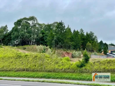 Lote/Terreno à venda, 4402m² no Jardim Emília, Campo Largo