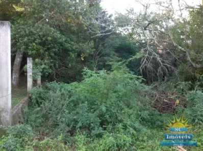 Lote/Terreno à venda, 3600m² no Ingleses do Rio Vermelho, Florianópolis
