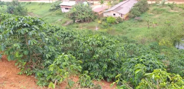 Lote/Terreno à venda, 110000m² no Santa Maria de Jetibá, Santa Maria de Jetibá