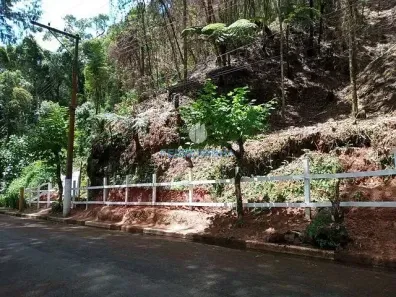 Lote/Terreno à venda, 1000m² no Colinas Capivari, Campos do Jordão