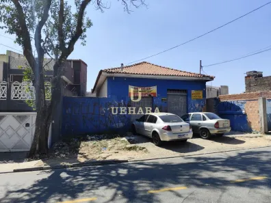 Casa com 4 Quartos à venda, 238m² no Casa Verde Alta, São Paulo