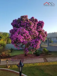 Fazenda/Sítio com 2 Quartos à venda, 406m² no Esplanada do Carmo, Jarinu