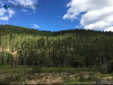 Fazenda/Sítio à venda, 30000m² no , Vargem Alta