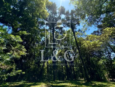 Fazenda/Sítio à venda, 13384m² no Bateias de Baixo, Campo Alegre