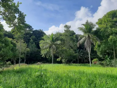 Lote/Terreno à venda, 700m² no Aldeia dos Camarás, Camaragibe