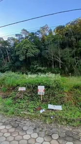 Lote/Terreno à venda, 286m² no Centro I, Brusque
