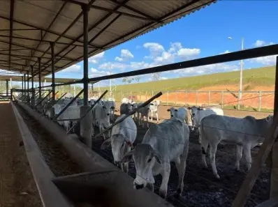 Lote/Terreno à venda, 2518400m² no Chácara Marambaia, Caçapava