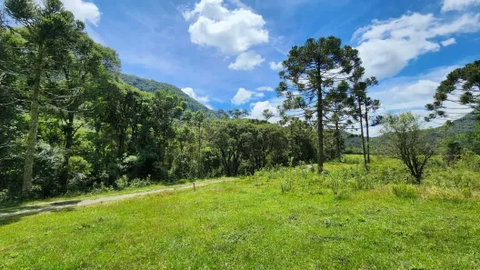 Fazenda/Sítio à venda, 20000m² no , Rio Rufino