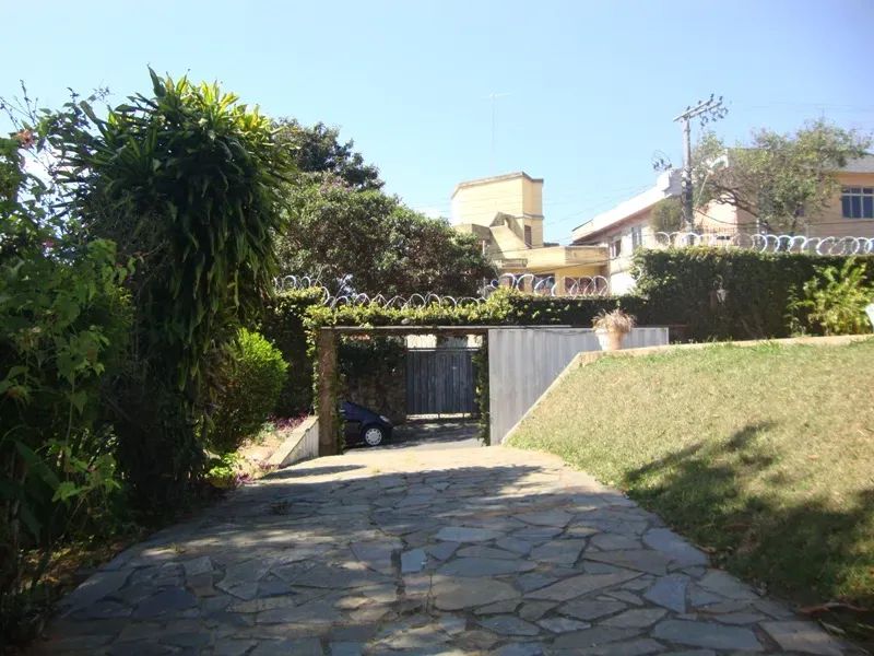 Foto 7