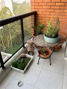 Apartamento com 4 Quartos à venda, 143m² no Vila Andrade, São Paulo