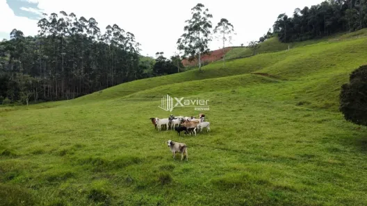 Lote/Terreno à venda, 96800m² no Matilde, Alfredo Chaves