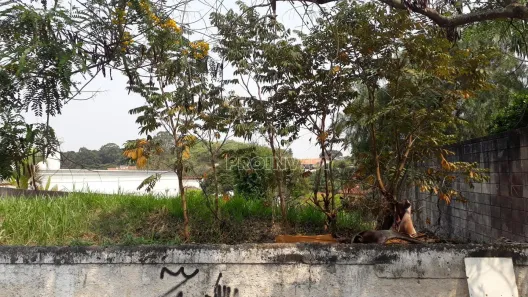 Lote/Terreno à venda, 487m² no Parque dos Príncipes, São Paulo